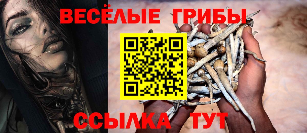 Псилоцибиновые грибы Psilocybine cubensis Азов